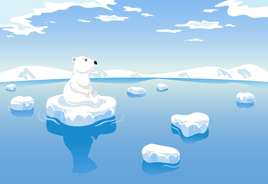 Polar Bear Global Warming Drawing by Exxorian