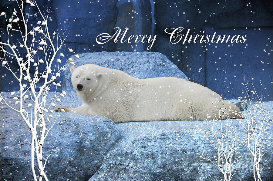 Polar Bear Christmas Greeting Mixed Media by Elaine Manley