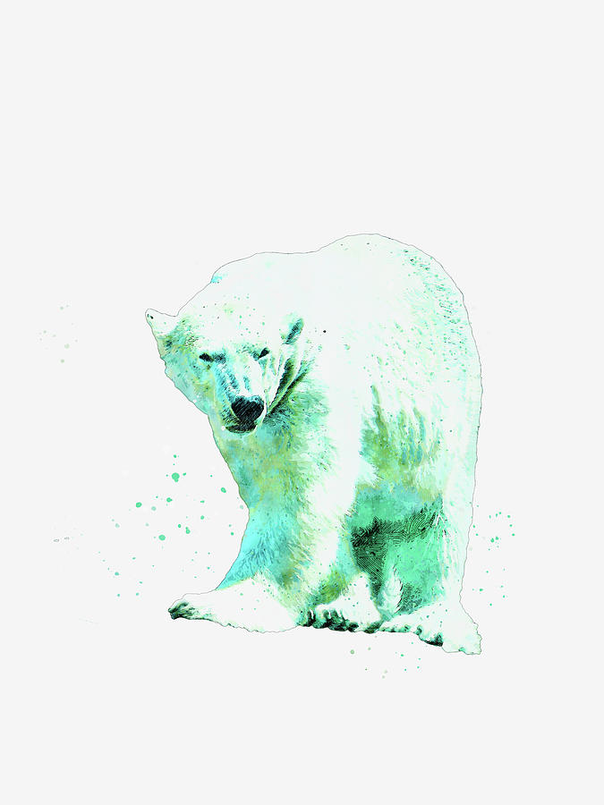 Polar Bear Illustration Mixed Media by Pamela Williams