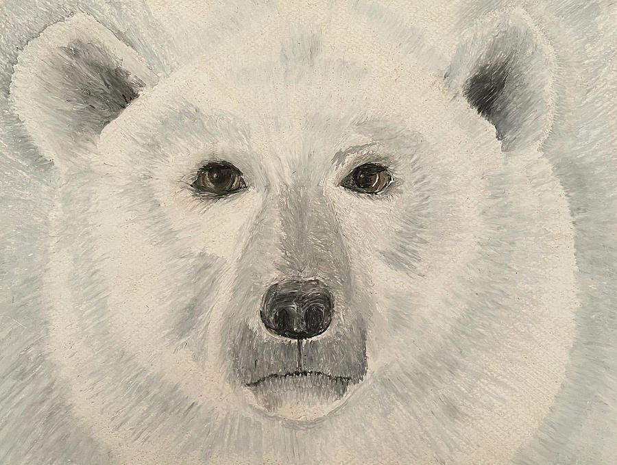 Polar Bear Pastel - Polar bear  by Laura Shearer