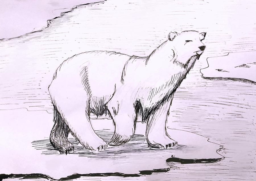 Polar Bear Drawing by Medea Ioseliani