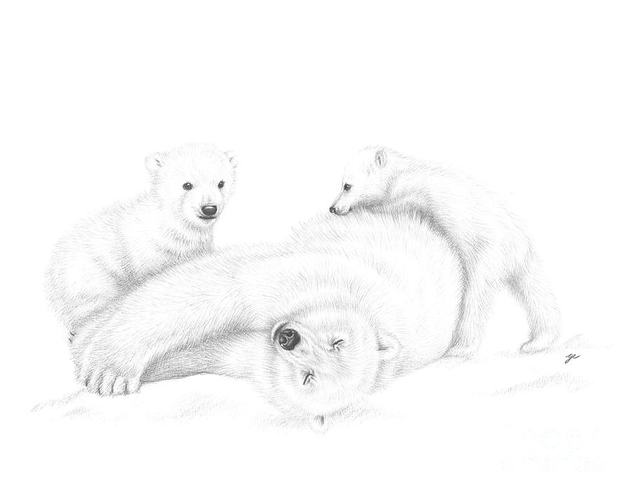 7,006 Polar Bear Line Drawing Images, Stock Photos & Vectors | Shutterstock