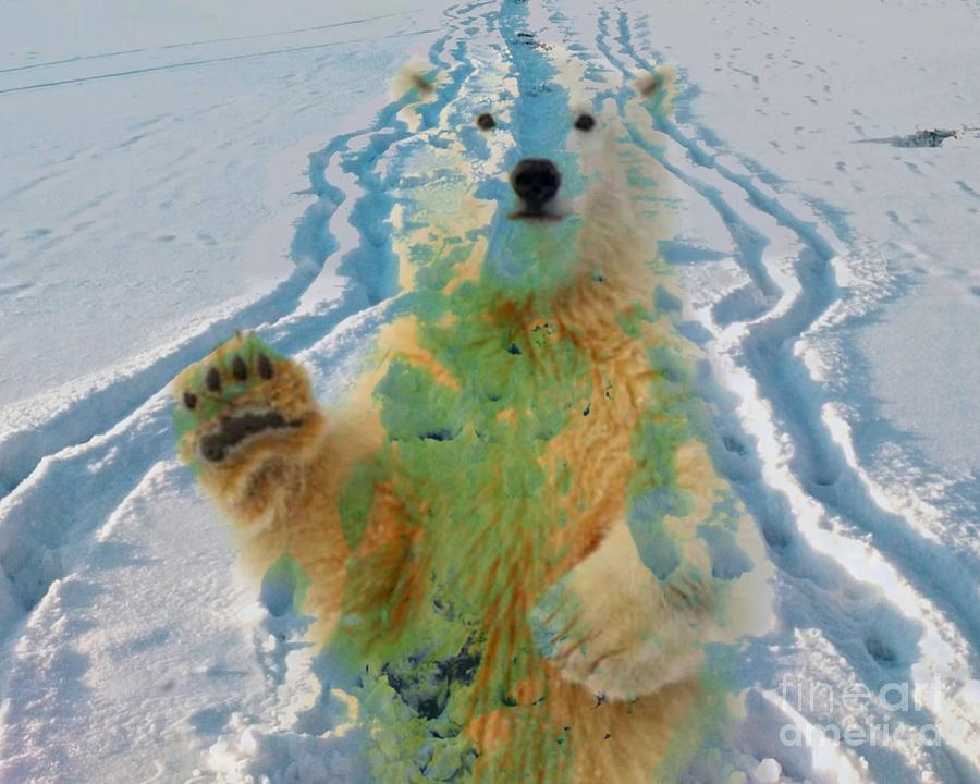 Polar bear sport hunting Digital Art by Laura Vanatka - Fine Art America