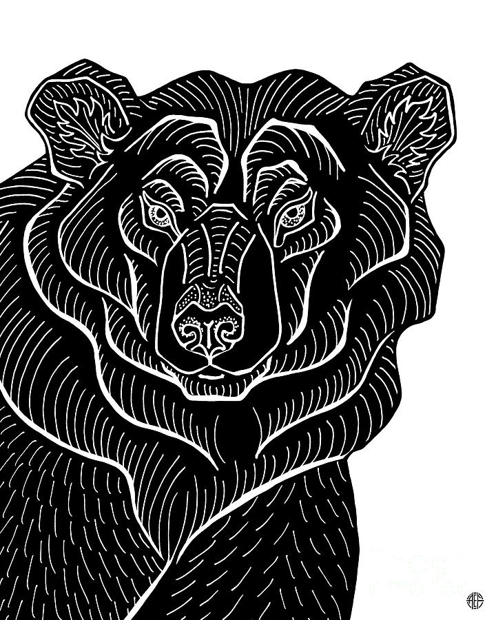 Polar Bear. Wild Animal Ink 12 Drawing by Amy E Fraser