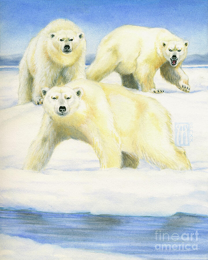 Polar Bears Mixed Media by Melissa A Benson
