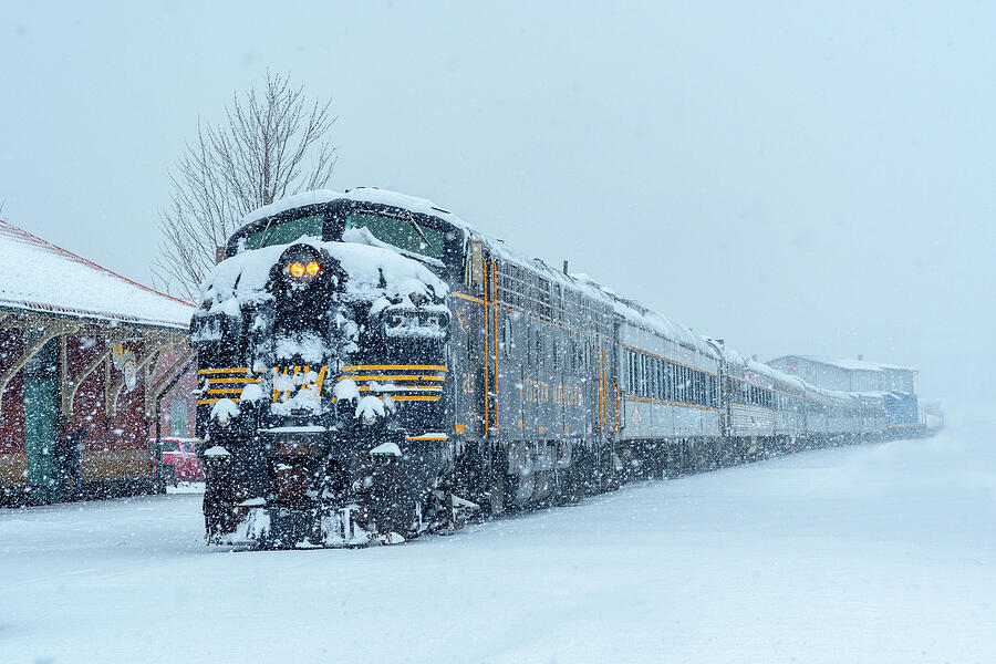 Winter Photograph - Polar Express by Tazz Anderson