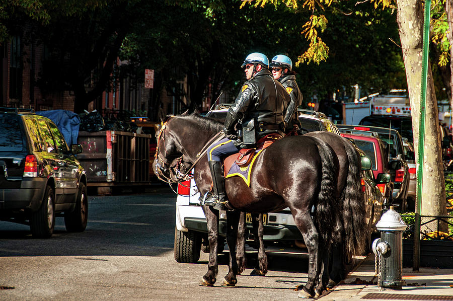 Police On Horse Back In Nyc Photograph