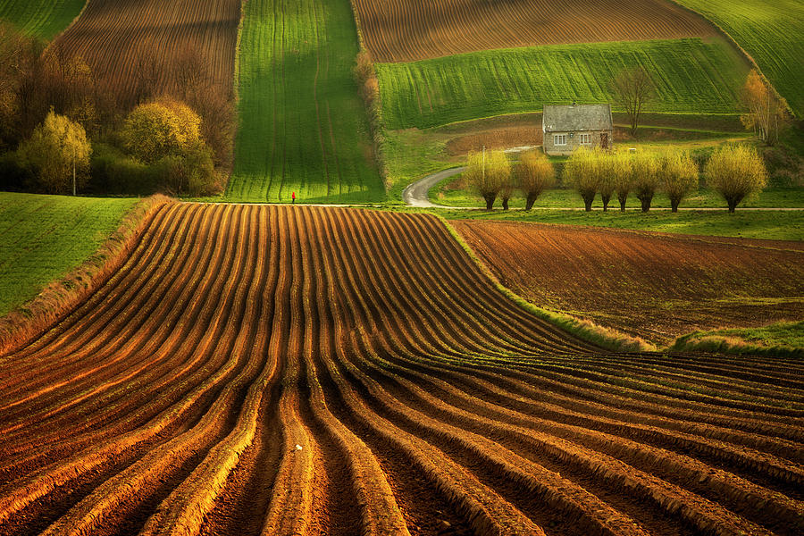 Polish countryside Photograph by Piotr Skrzypiec