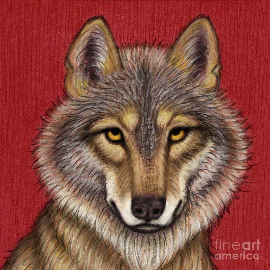 Polish Gray Wolf Painting by Amy E Fraser