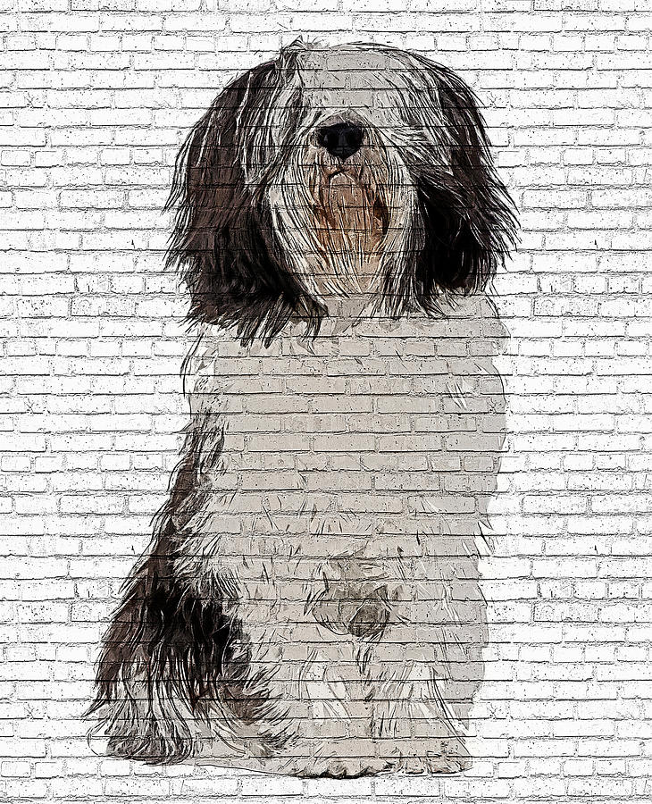 Polish Lowland Sheepdog Dog - Brick Block Background Painting by Custom Pet Portrait Art Studio