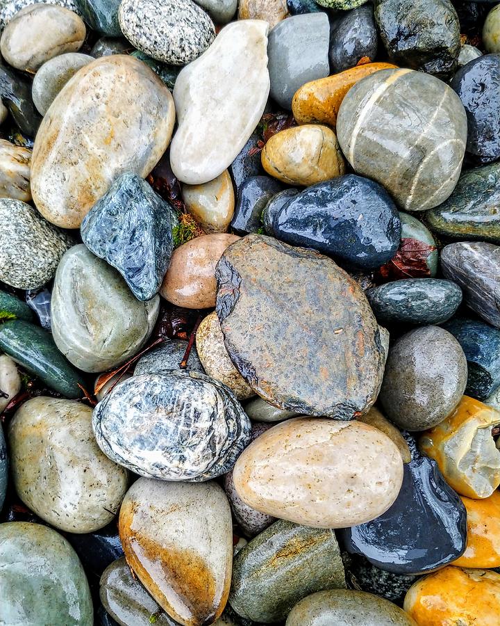 Polished Stones Photograph by Darrell MacIver