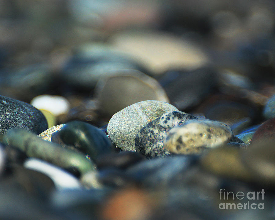 Polished Stones from the Sea Photograph by Doug Gist