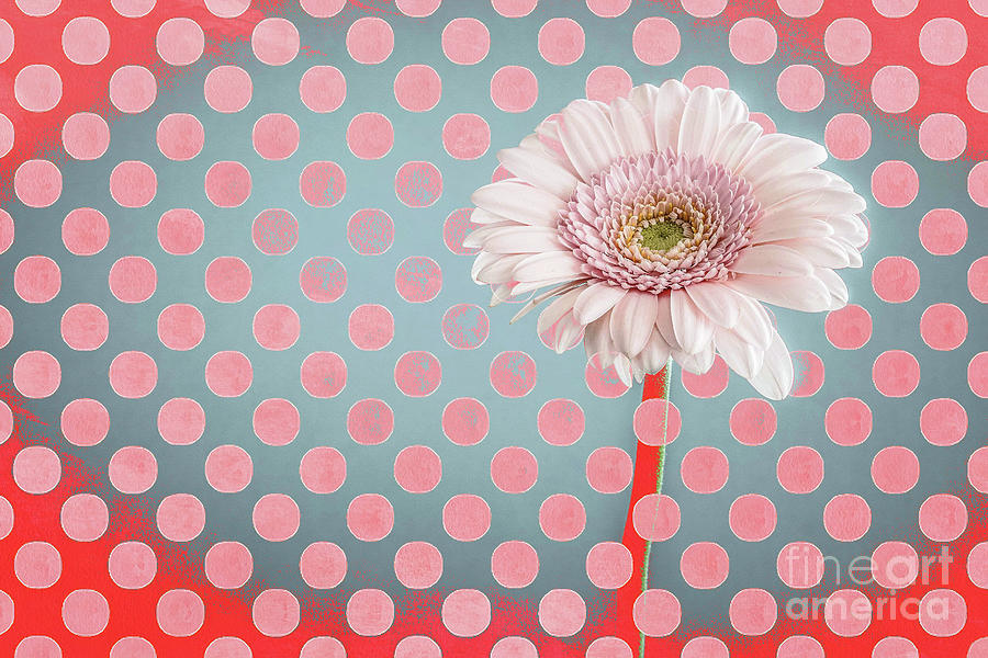 Polka Dot Flower Pop Art Digital Art by Edward Fielding