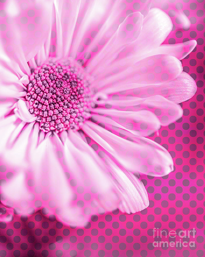 Polka Dot Flowers Pink Pop Art Photograph by Edward Fielding