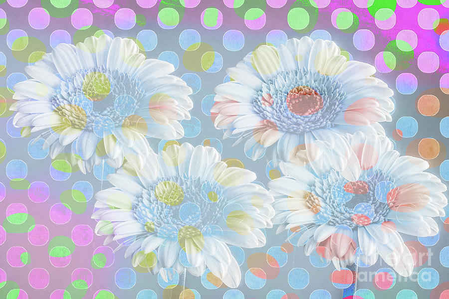 Polka Dot Flowers Pop Art Digital Art by Edward Fielding
