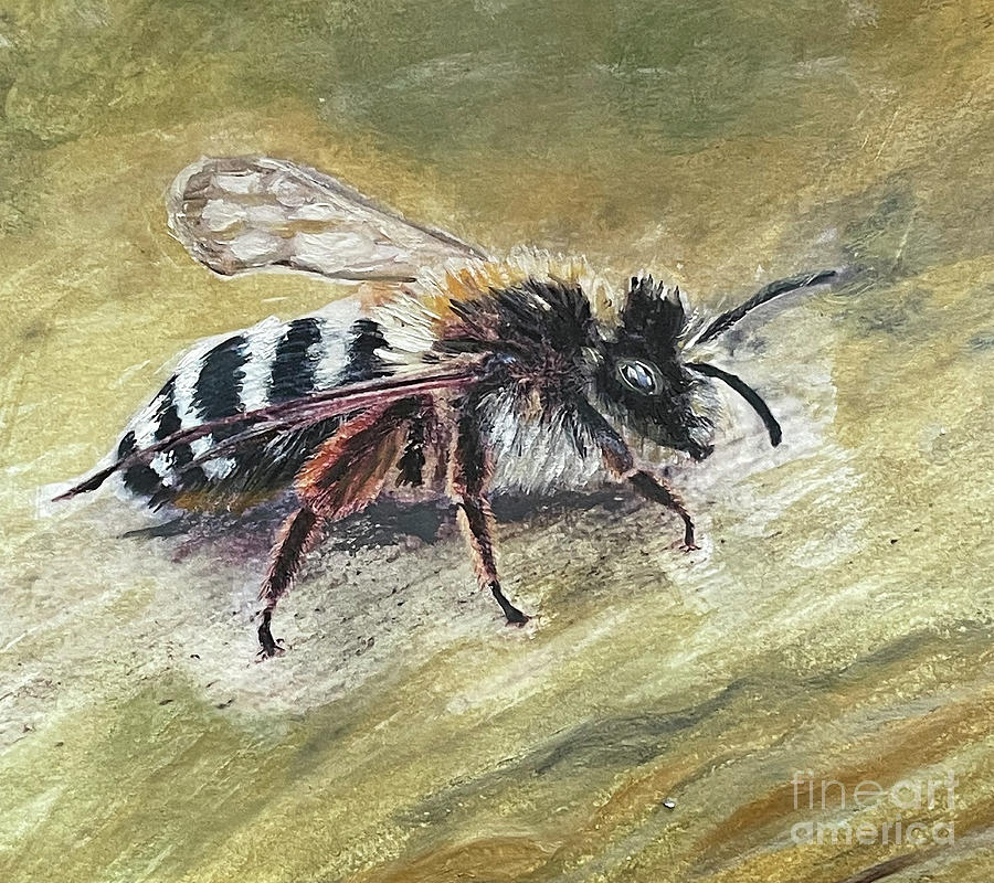 Pollinator at rest Painting by Shelley Myers