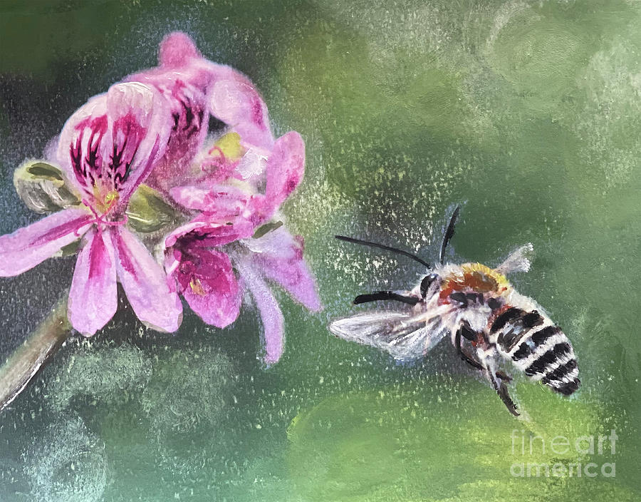 Pollinator at work Painting by Shelley Myers