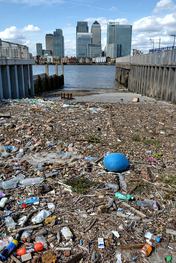 Polluted river Thames Photograph by Susan Walker
