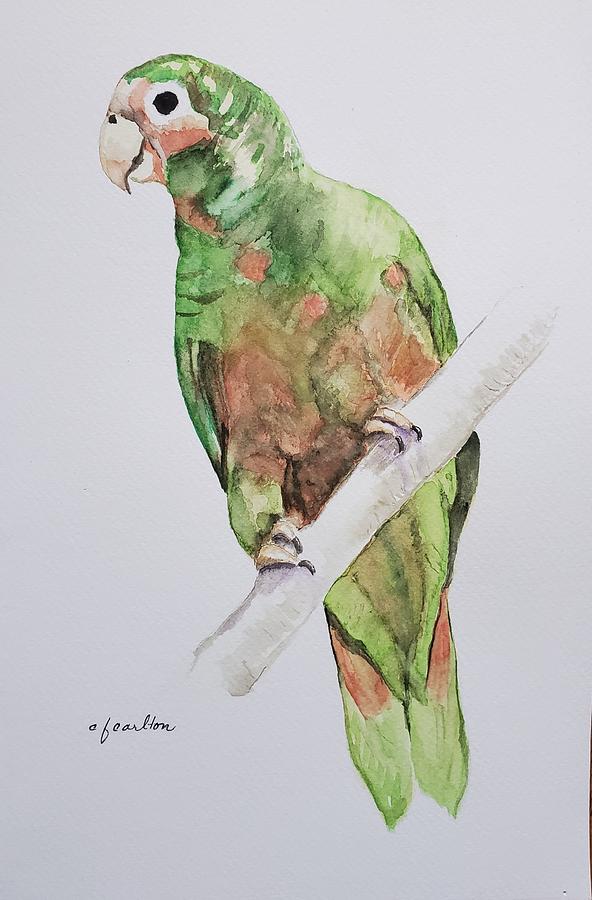 Polly - Watercolor Painting by Claudette Carlton