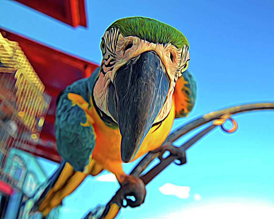 Polly Wants A Cracker NOW in Expressionism Photograph by Bill Swartwout