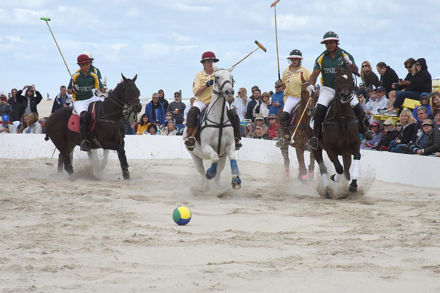 Polo 24 by Joyce StJames Polo 24 by Joyce StJames