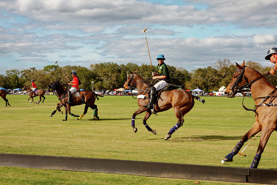 Polo Action Photograph by Sally Weigand