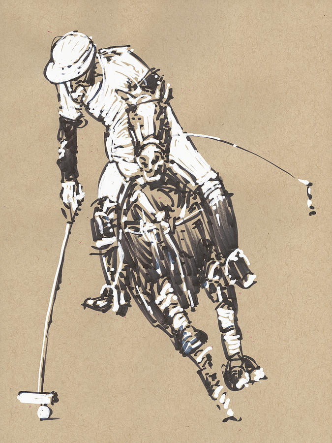 Horse Drawing - Polo No3 by Peter Farago