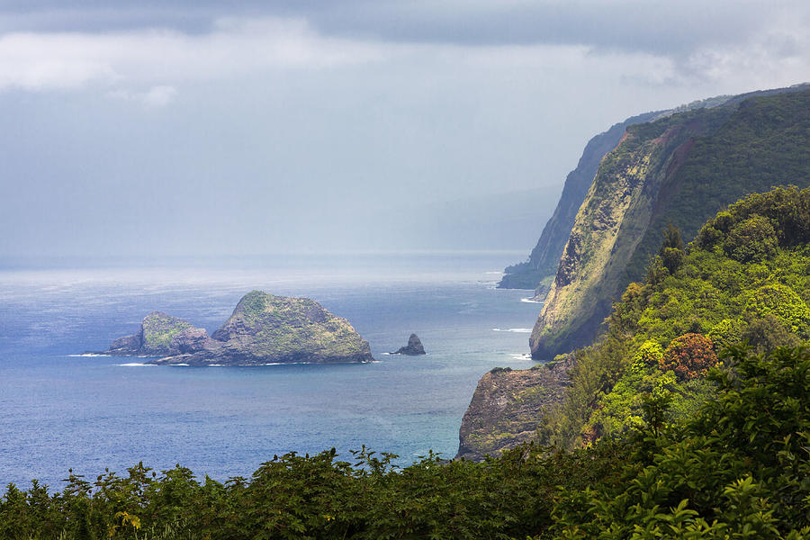 Polulu Valley Vista on Big Island Hawaii Photograph by Suzi Pratt