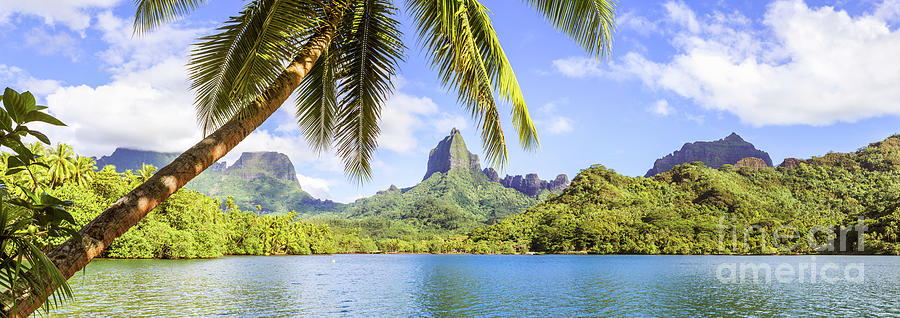Polynesian island panorama Photograph by Matteo Colombo