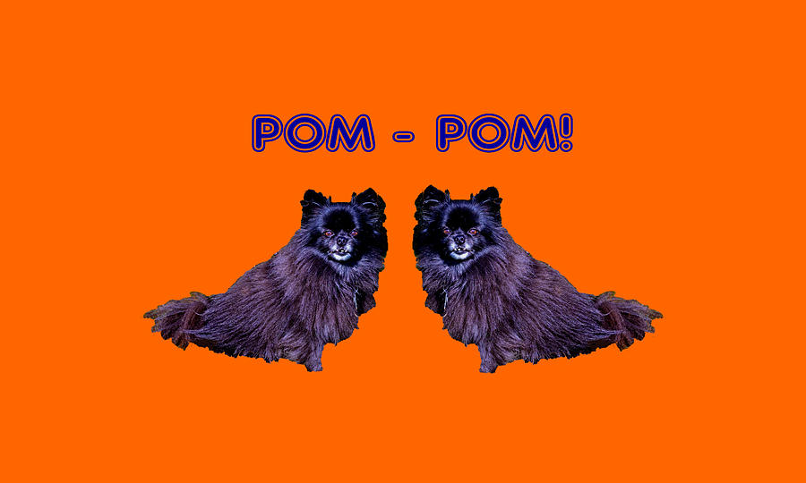 Pom - Pom Digital Art by David Desautel