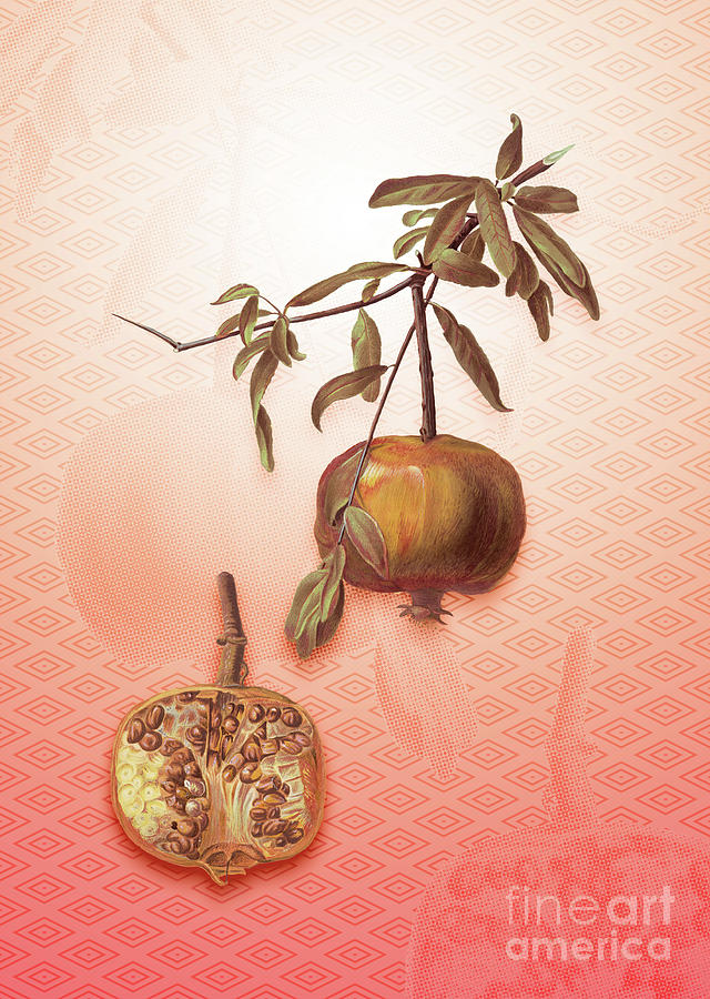 Pomegranate Vintage Botanical In Peach Fuzz Hishi Diamond Pattern N.0141 Painting
