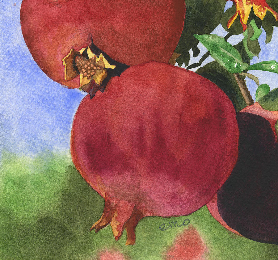 Pomegranates in shadow Painting by Eunice Olson