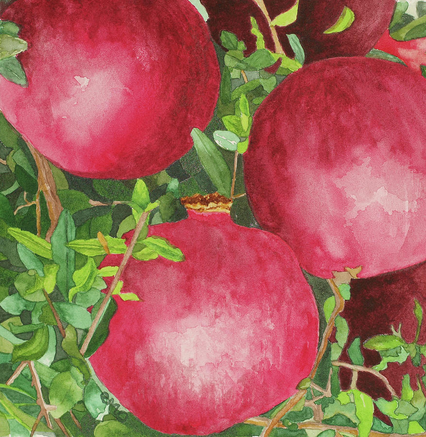 Pomegranates in tree Painting by Eunice Olson