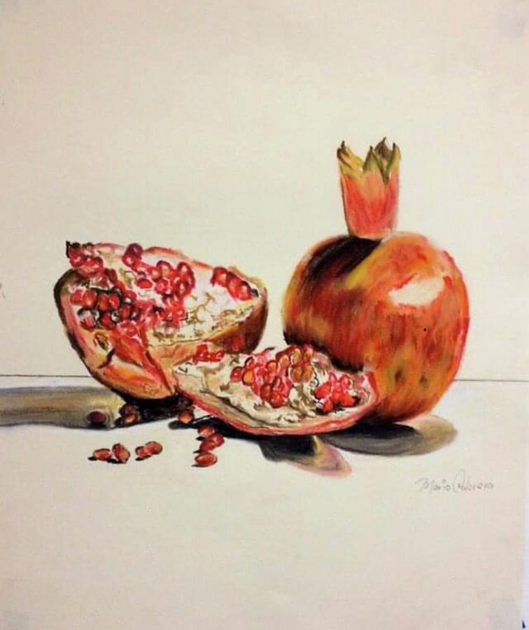 Pomegranates Drawing by Mario Cabrera