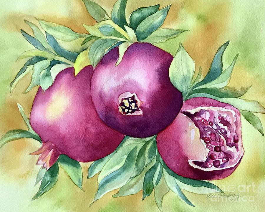 Pomegrantes Painting by Hilda Vandergriff