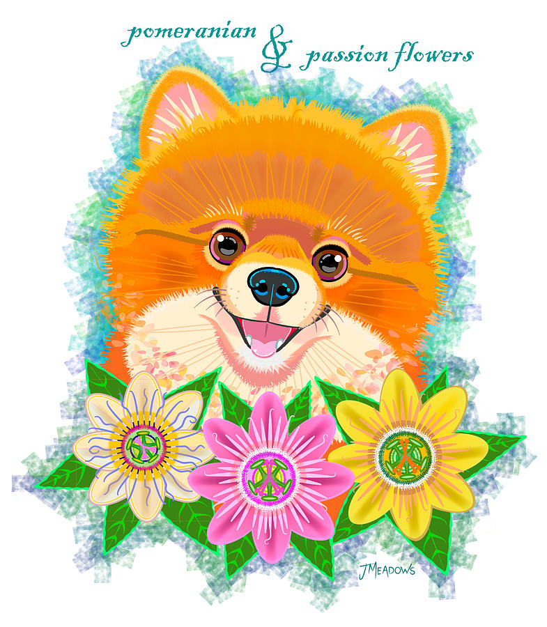 Pomeranian and Passion Flower Mixed Media by J L Meadows