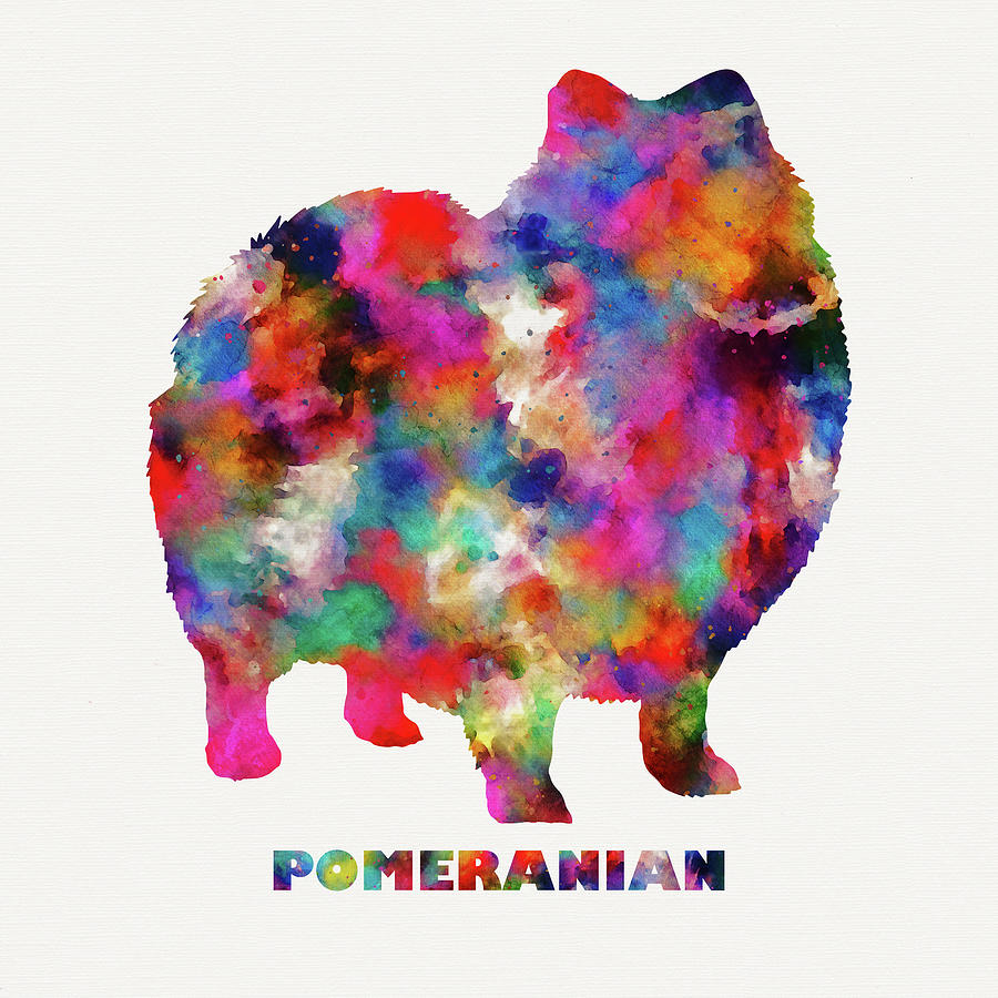 Pomeranian Dog Abstract Tie Dye Art Digital Art by Peggy Collins