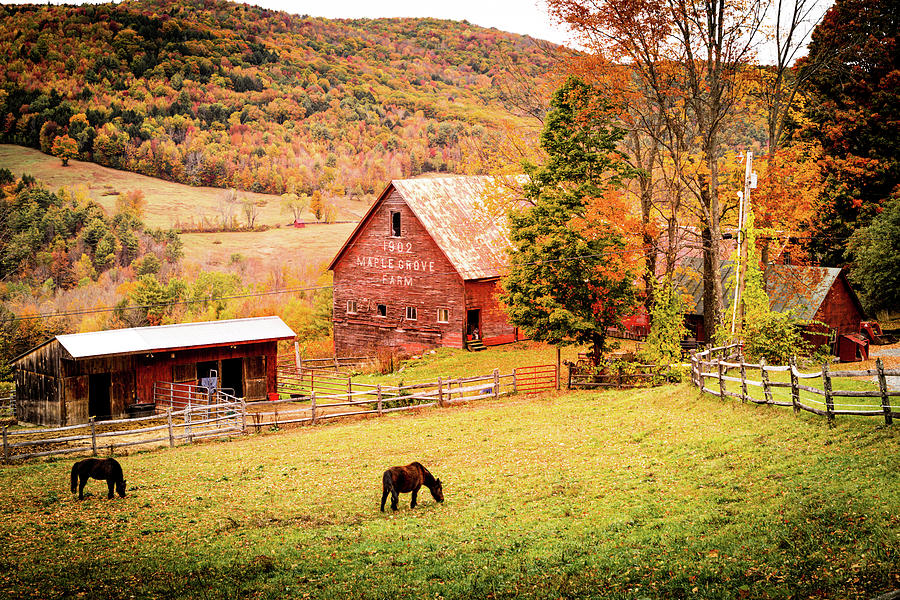 Pomfret Vermont Maple Grove Farm Photograph by Jeff Folger