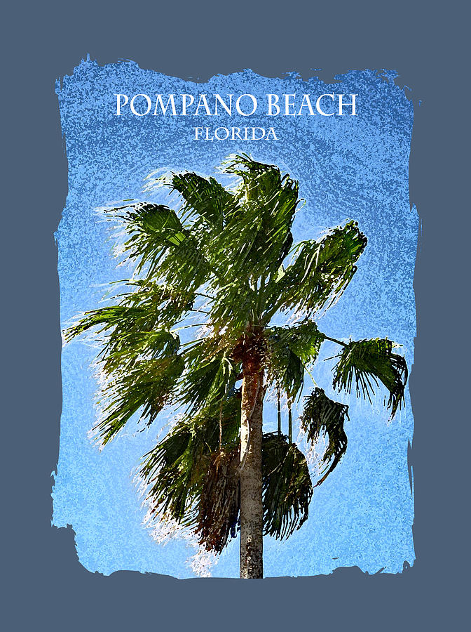 Pompano Beach Florida Palm 208 Photograph by Corinne Carroll