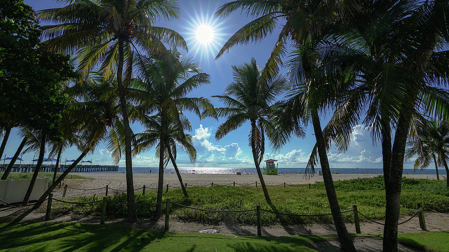 Beach Photograph - Pompano Beach Palms Sun by Joey Waves