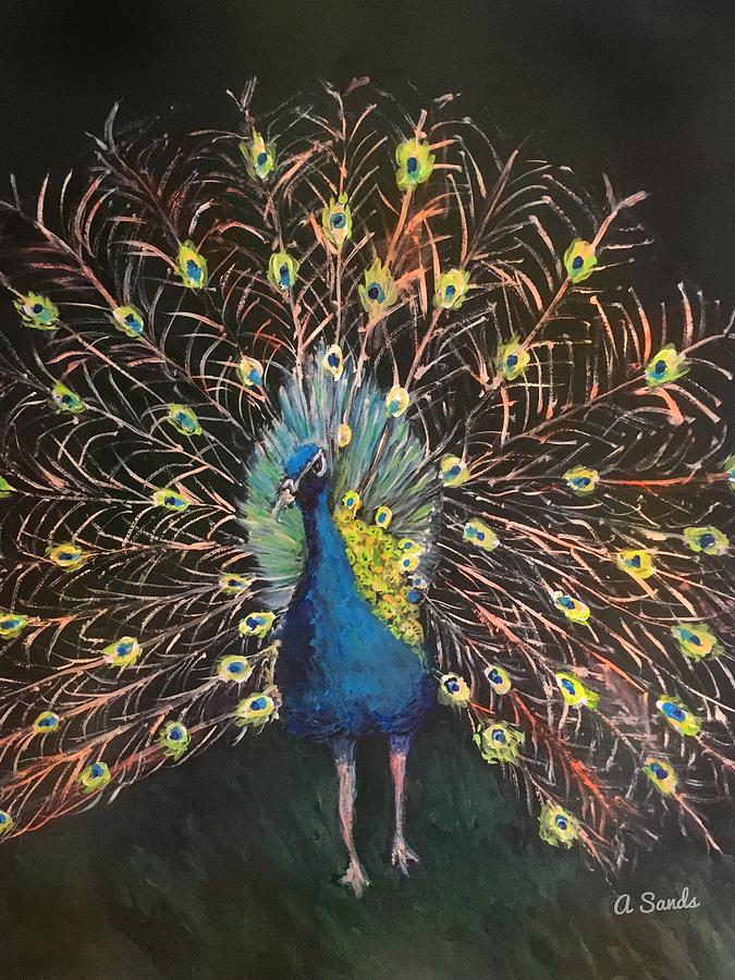 Pompous Peacock Painting by Anne Sands