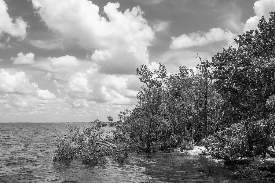 Ponce de Leon High Tide Photograph by Robert Wilder Jr