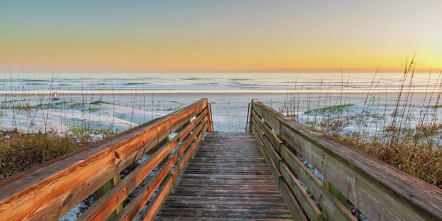 Ponce de Leon Inlet Beach Path III Photograph by Stefan Mazzola