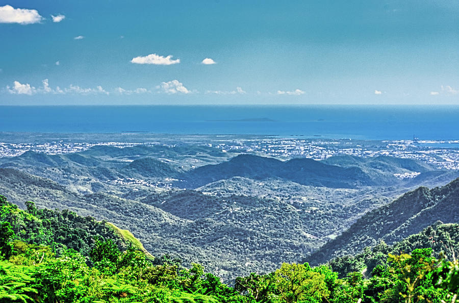 Ponce in Puerto Ricos south coast seen from Adjuntas Pyrography by Walter Rivera-Santos