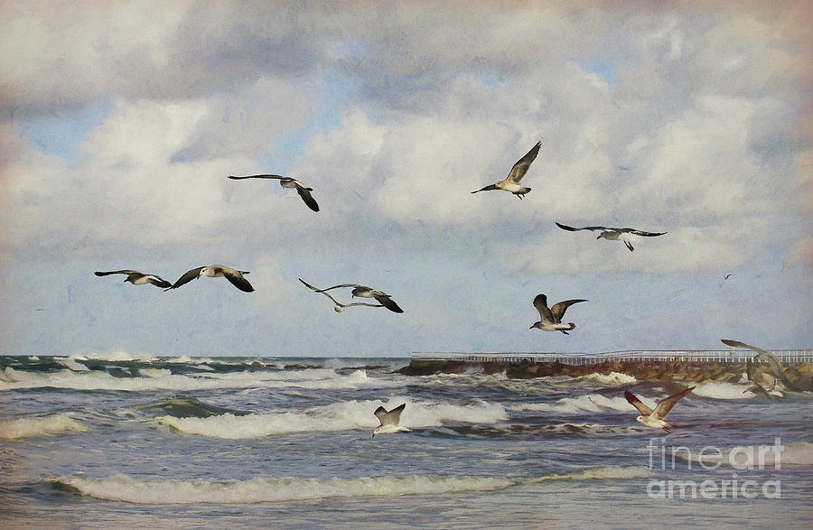 Ponce Inlet Beach Scene Photograph
