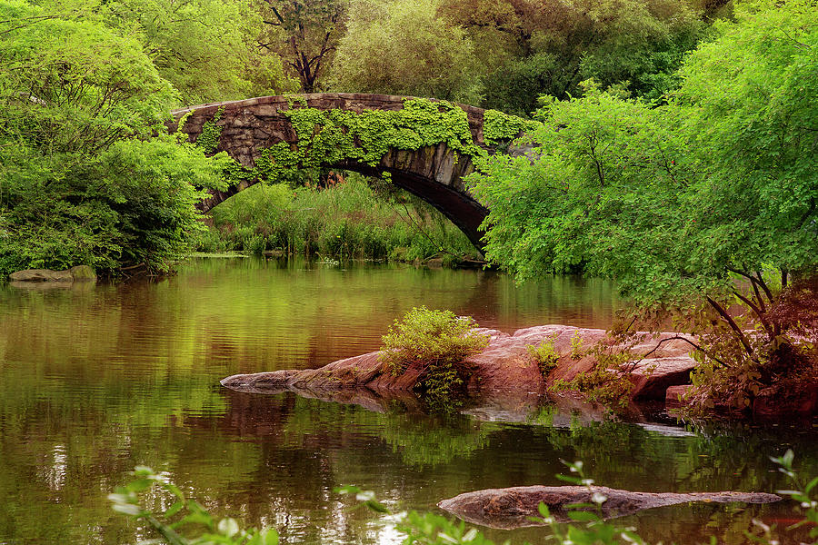 Pond and Arch Dreamscape Photograph by Cate Franklyn