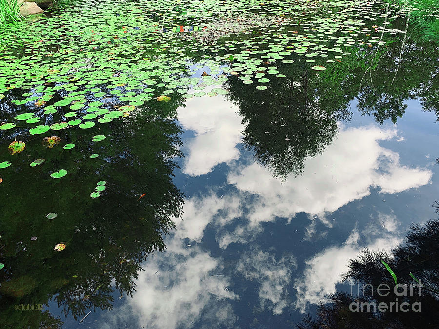 Pond and Cloud Reflection Digital Art by Dee Flouton