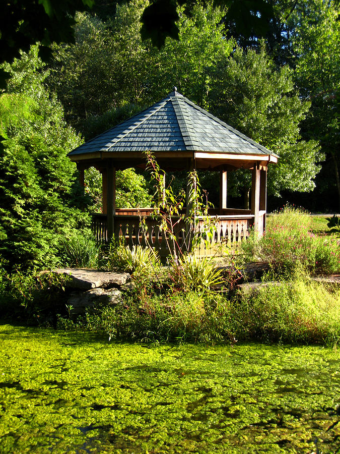 Pond and Gazebo in Golden Hour, Early Autumn Photograph by Steve Ember