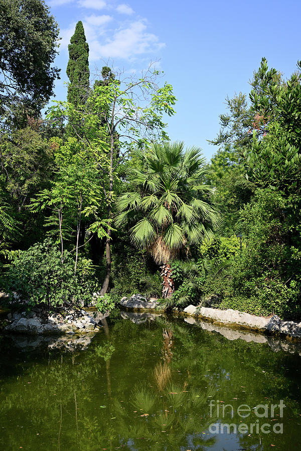 Pond and greenery Photograph by George Atsametakis