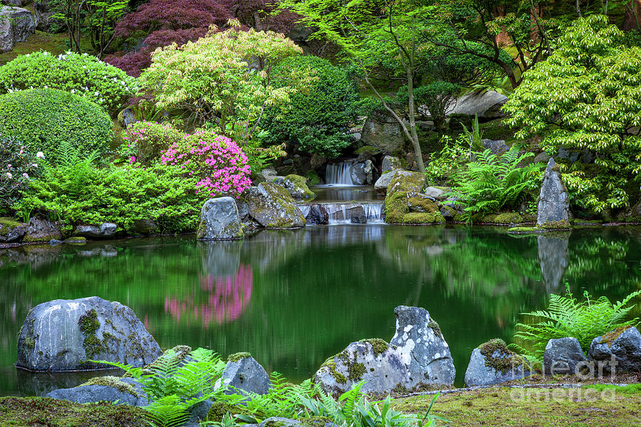 Pond and Waterfall in Japanese Garden Photograph by Brian Jannsen ...